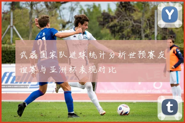 武磊国家队进球统计分析世预赛友谊赛与亚洲杯表现对比